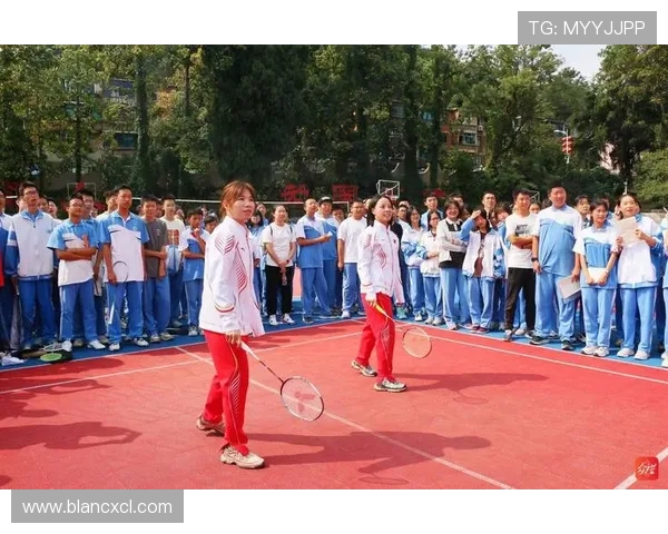 刘静独家分享排球心得与技巧助你提升球技的全方位指南