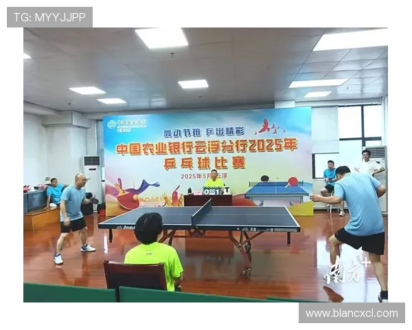 刘娜独家分享乒乓球技巧与心得助你提升球技的全面指南 刘娜独家分享乒乓球技巧与心得助你提升球技的全面指南