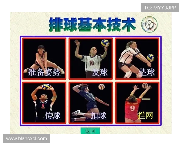 北京排球队引领最新排球技术十大趋势全面解析与展望