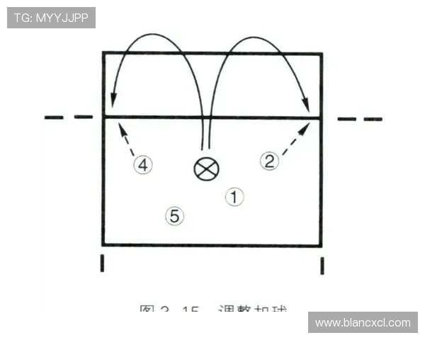 北京排球队战术解析与比赛策略深度剖析
