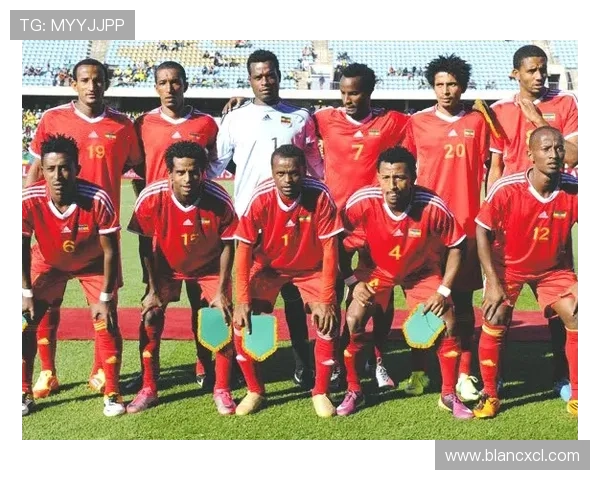 北京排球队选拔赛背后的拼搏故事与奋斗历程揭秘