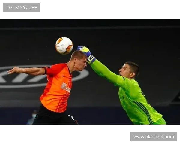 成都羽毛球队边路渗透革新探索与实践的深度剖析与展望 成都羽毛球队边路渗透革新探索与实践的深度剖析与展望