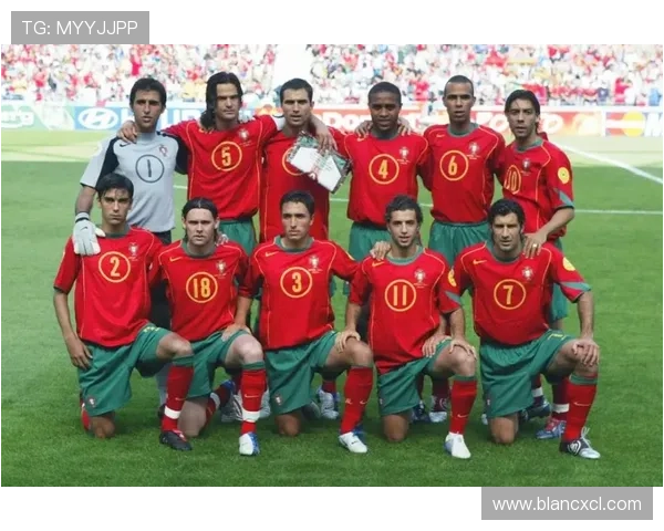 巴西足球明星的璀璨星光与传奇故事探秘