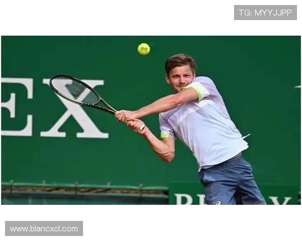 杭州网球队状态引发热议球迷对表现和未来发展意见不一