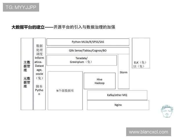 深入探讨北京排球队的力量表现与数据分析成果