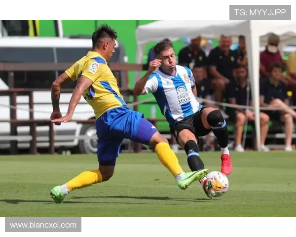 丹麦10号足球明星的辉煌历程与未来展望解析