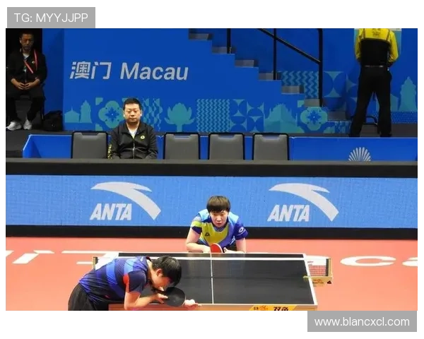 乒乓球技术排行榜揭晓成都乒乓球队荣膺全国第五名佳绩