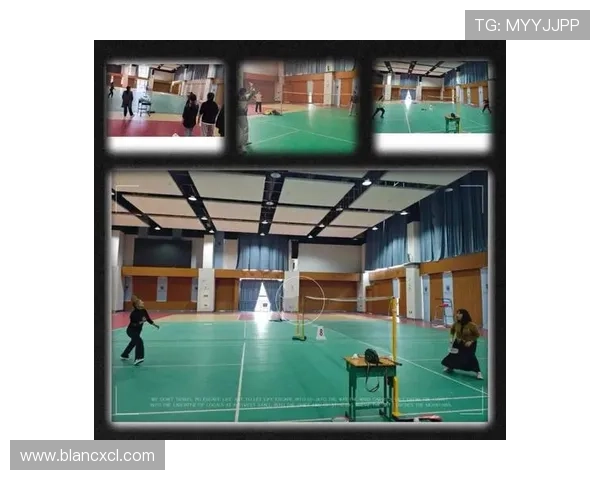 全国锦标赛回顾南京羽毛球队技术表现的深度分析与启示